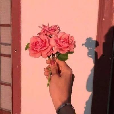 反斗联盟腾讯版下载