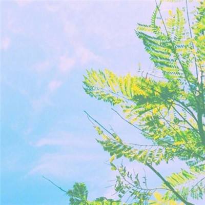 封神来了vip破解版下载